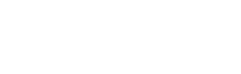 Spartan Flight Academy Logo